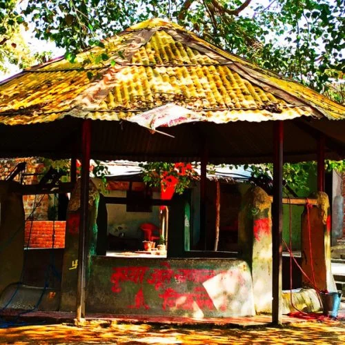 Bharat Koop